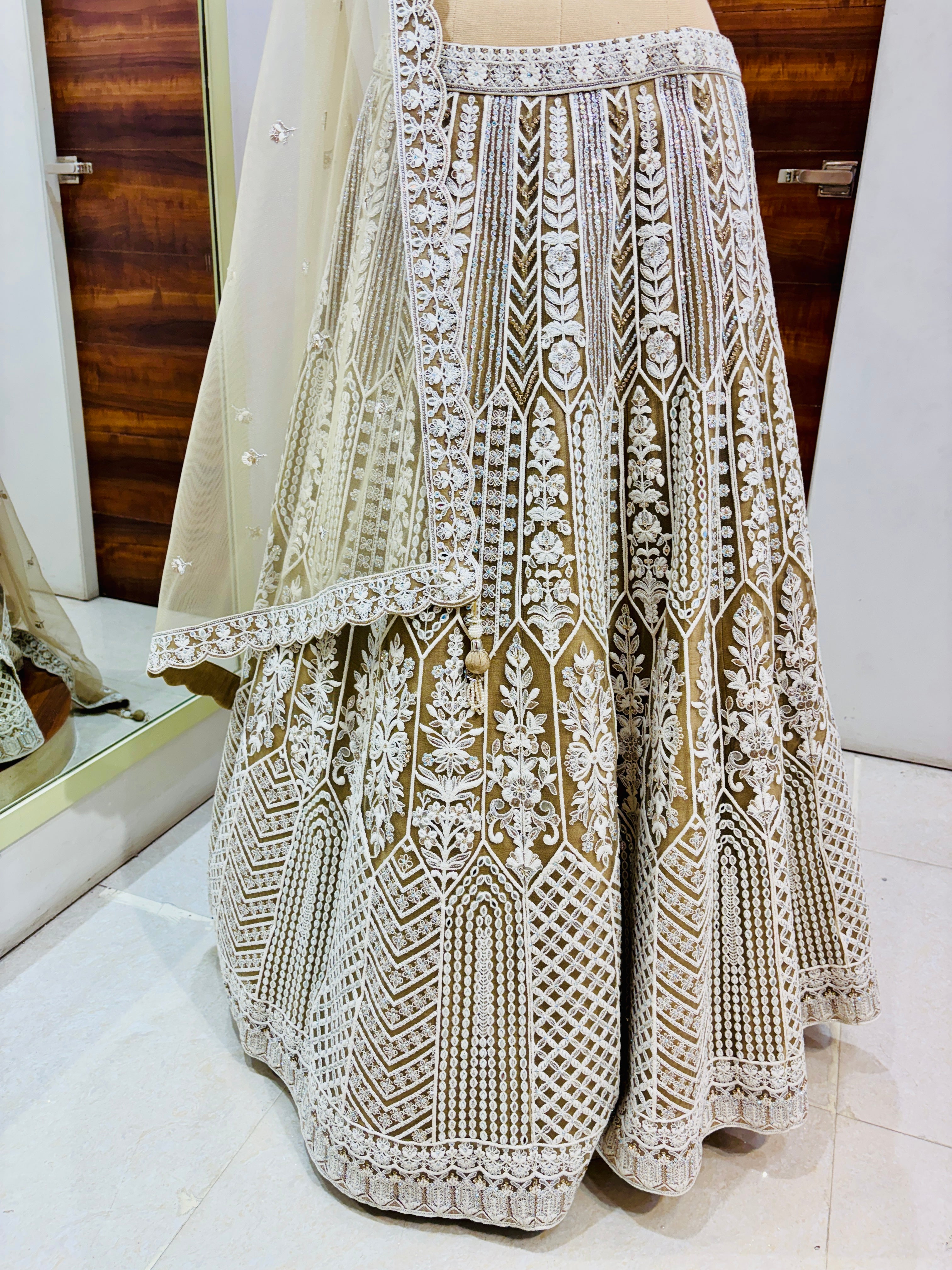 Beige Net Designer Lehenga