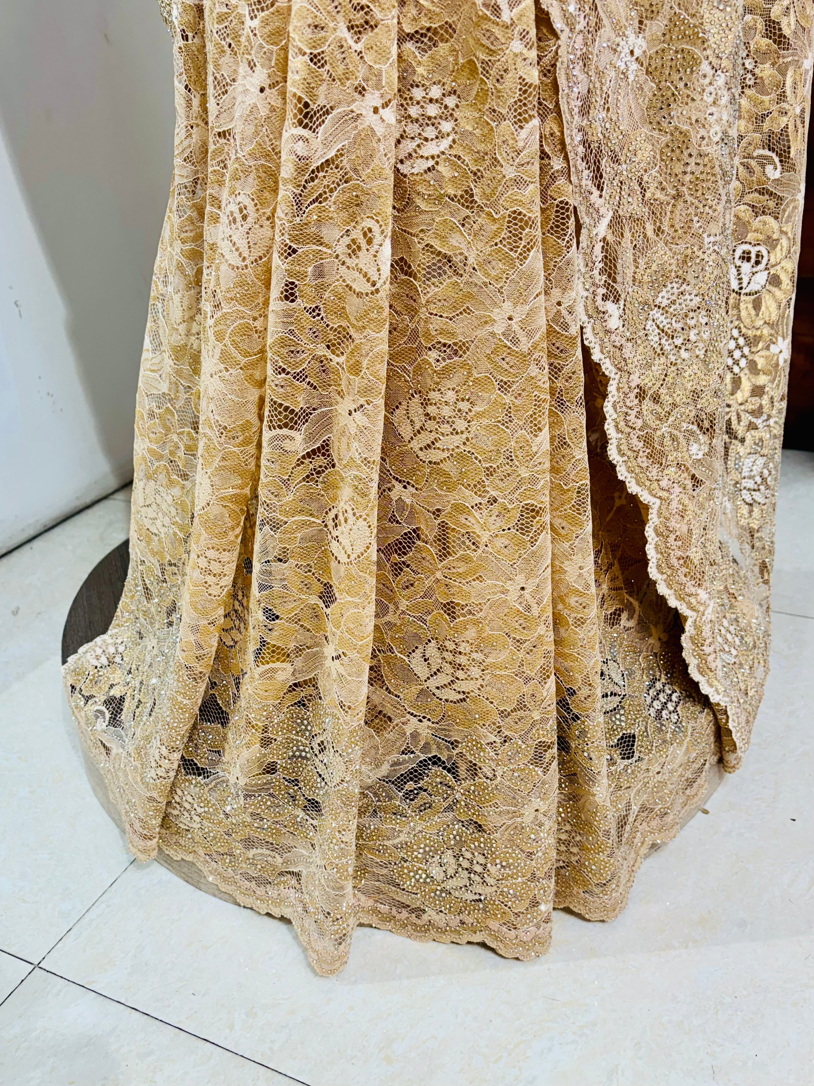 Light Brown Net Designer Swarovski Work Saree