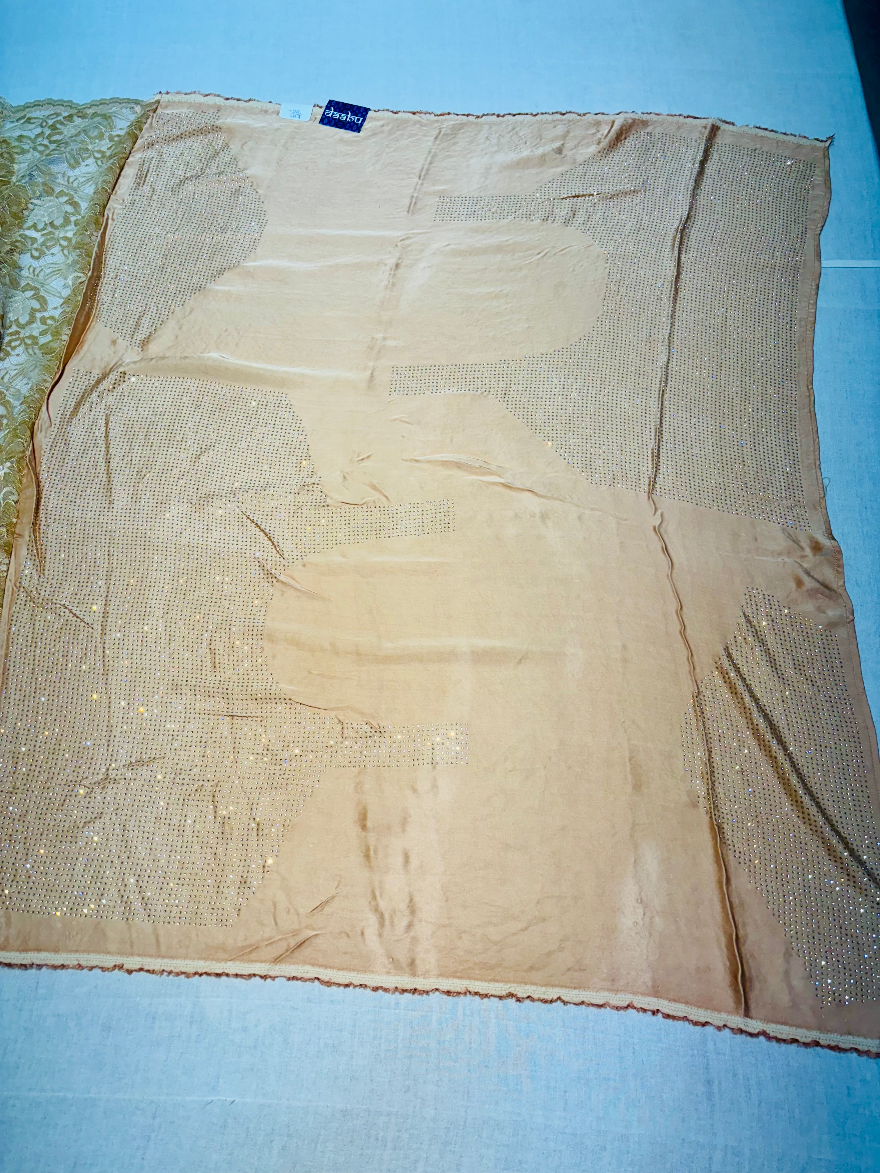 Light Brown Net Designer Swarovski Work Saree