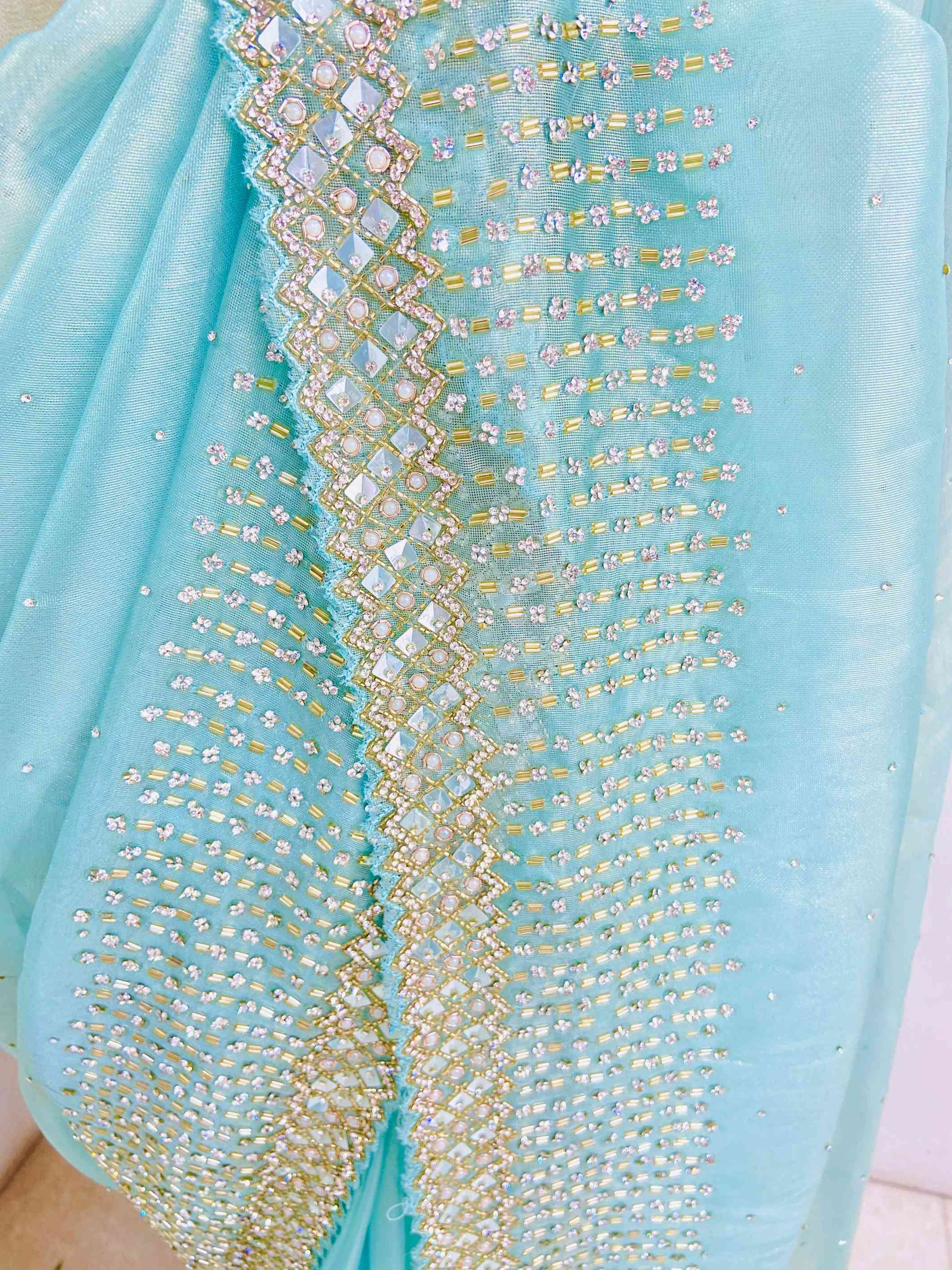 Light Green Tissue Organza Saree