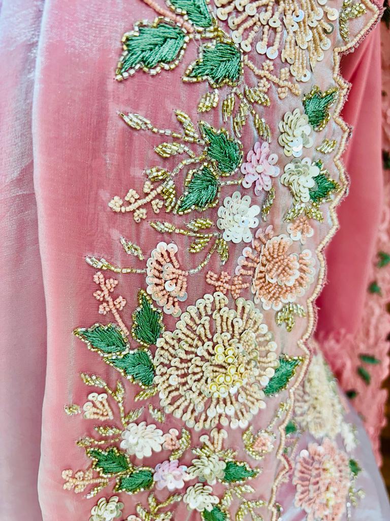 Baby Pink Glass Tissue 3D Embroidery Saree