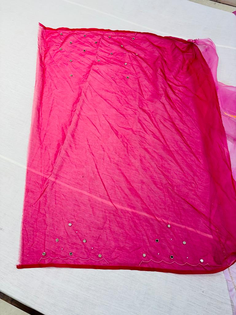 Light Pink Organza Mirror Work Saree