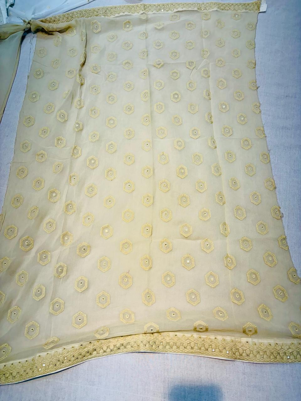 Beige Chikankari Designer Saree