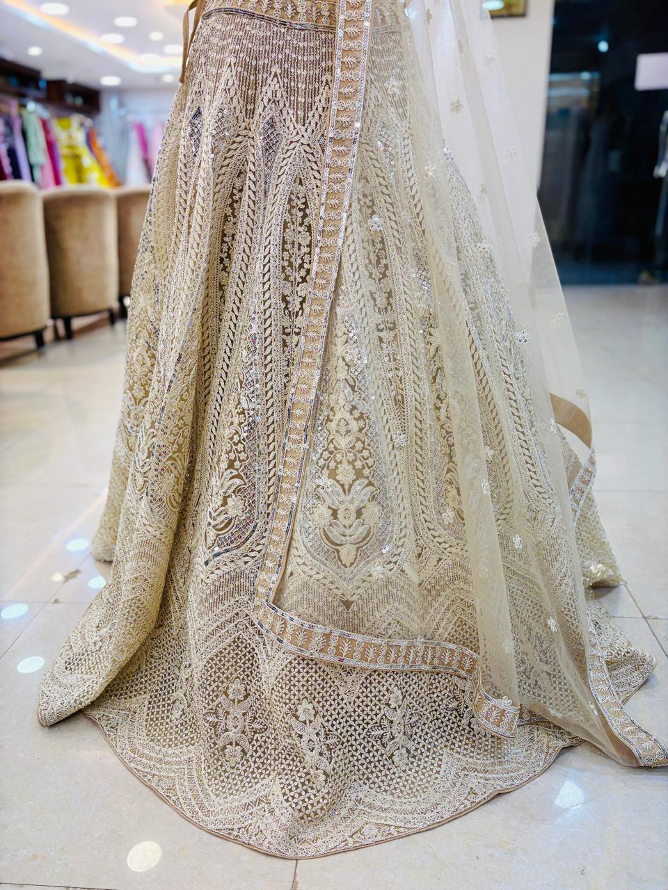 Beige Net Embroidered Lehenga With Resham Work and Readymade Blouse